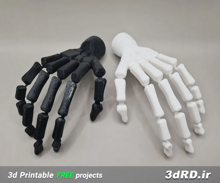 دانلود طرح سه بعدی اسکلت دست/آناتومی اسکلت دست/اسکلت
