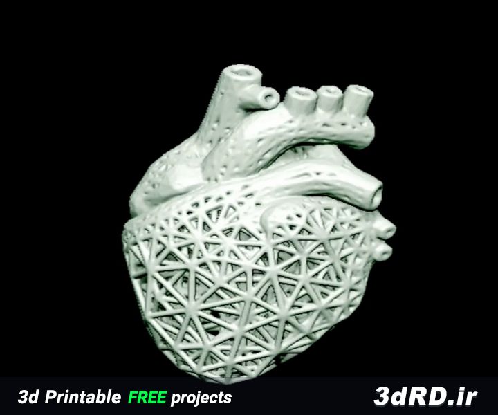 دانلود طرح سه بعدی ماکت قلب/قلب پرینت سه بعدی/قلب سه بعدی/آناتومی قلب/قلب مصنوعی/ماکت قلب انسان