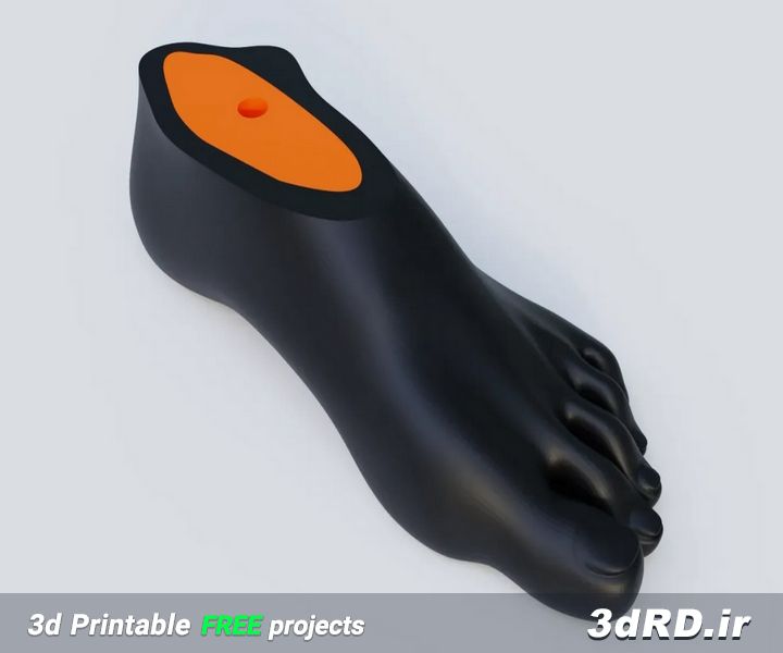دانلود طرح سه بعدی پای مصنوعی/پروتز پا/پروتز سه بعدی پا/پای مصنوعی پرینت سه بعدی/پای سه بعدی