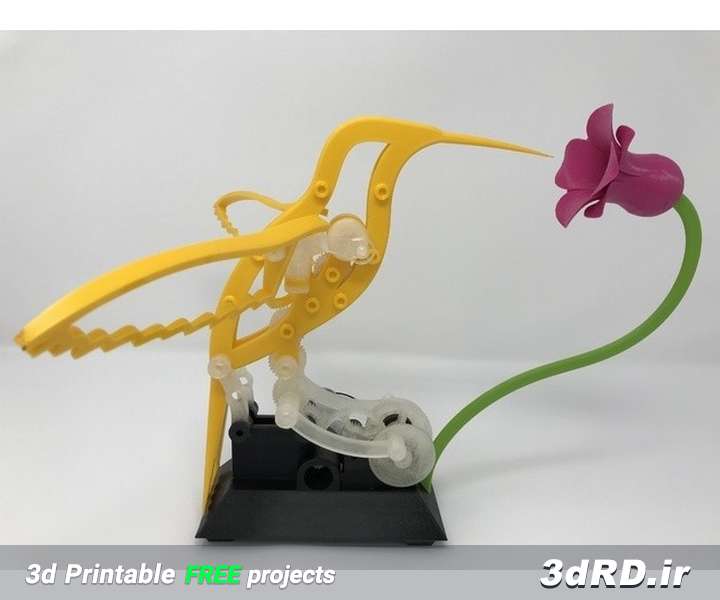دانلود طرح سه بعدی باکس پرنده و گل کوکی