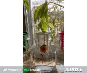 دانلود طرح سه بعدی ظرف شیشه ای برای نگهداری دانه گیاه