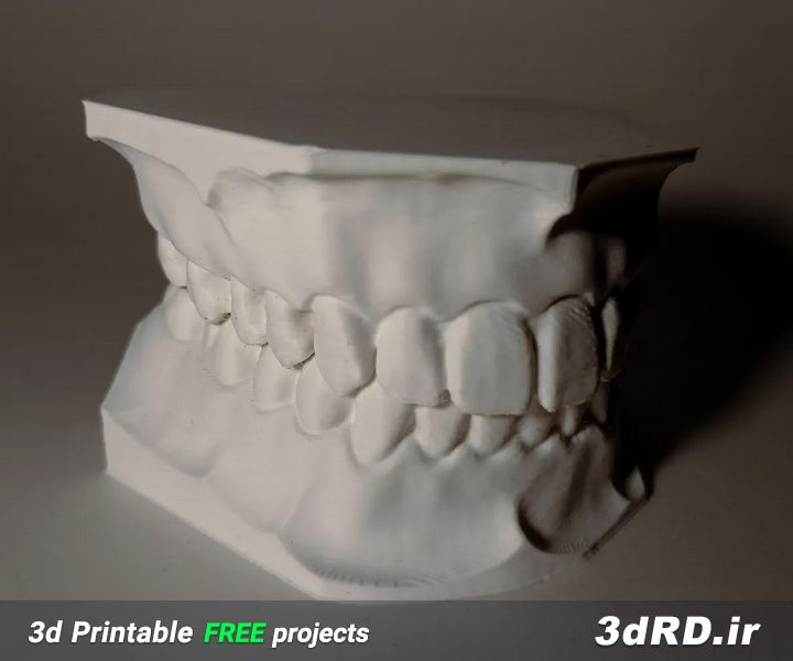 دانلود طرح سه بعدی دندان های بالا و پایین/مجموعه دندانها/دندان های بالا و پایین سه بعدی