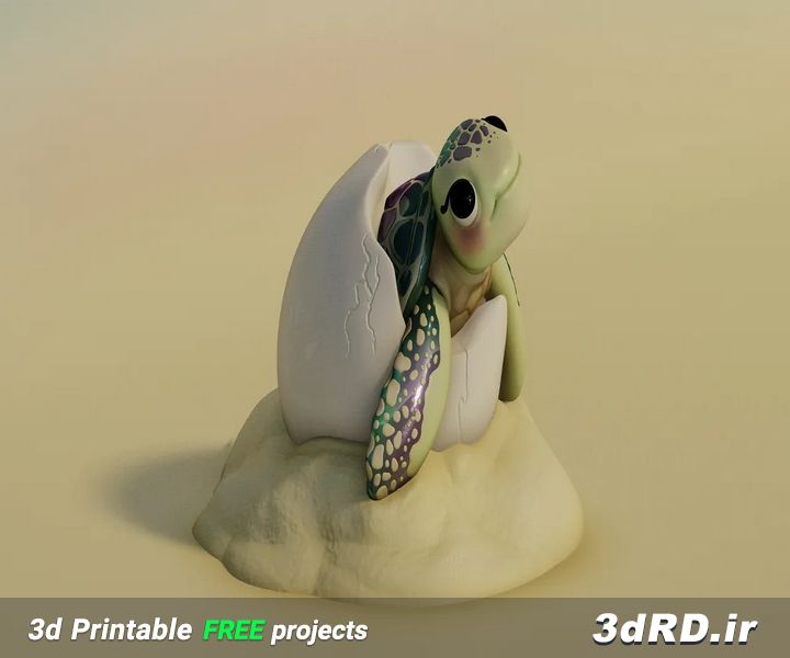 دانلود طرح سه بعدی مجسمه بچه لاک پشت/مجسمه بچه لاک پشت